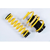 Suspension Techniques Lowering Kit - 2731000H