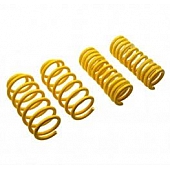 Suspension Techniques Coil Spring Set of 2 - 28230073