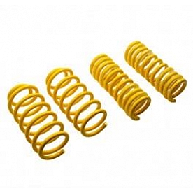 Suspension Techniques Coil Spring Set of 2 - 28230073