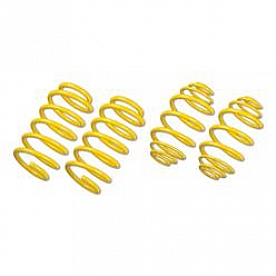Suspension Techniques Coil Spring Set of 2 - 28261013