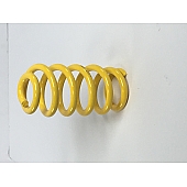 Suspension Techniques Coil Spring - 60210000