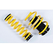 Suspension Techniques Lowering Kit - 27310075