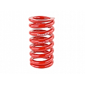 Skunk 2 Pro-C Coil Spring - 521991140