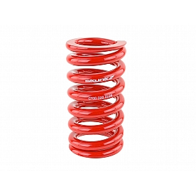 Skunk 2 Pro-C Coil Spring - 521991140