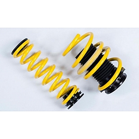 Suspension Techniques Lowering Kit - 27310078
