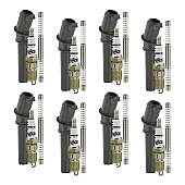 ACCEL Ignition Tune-Up Kit - 811732