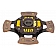 Advanced Clutch Disc Single 4 Paddle - 4214104
