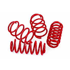 Motorsports Lowering Kit SUS00003