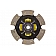 Advanced Clutch Disc Single 6 Paddle - 6212111