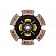 Advanced Clutch Disc Single 6 Paddle - 6214114
