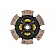 Advanced Clutch Disc Single 6 Paddle - 6220112