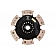 Advanced Clutch Disc Single 6 Paddle - 6228022