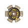 Advanced Clutch Disc Single 6 Paddle - 6228215