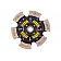 Advanced Clutch Disc Single 6 Paddle - 6240618