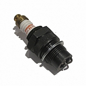 Champion Copper Plus Spark Plug - 429