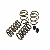 Hurst Lowering Spring Kit - 6130022