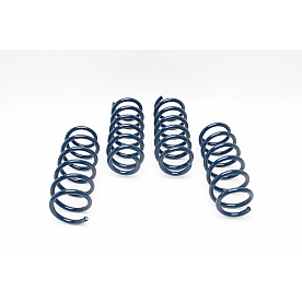 Dinan Performance Lowering Kit D100-0902