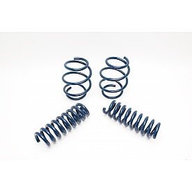 Dinan Performance Lowering Kit D100-0910
