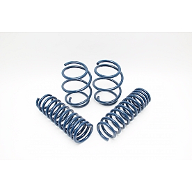 Dinan Performance Lowering Kit D100-0913