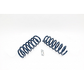 Dinan Performance Lowering Kit D100-0915