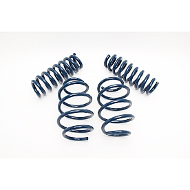 Dinan Performance Lowering Kit D100-0917