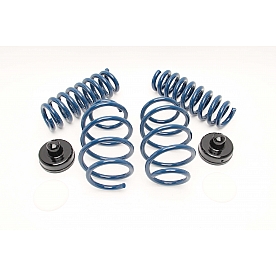 Dinan Performance Lowering Kit D100-0918