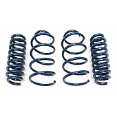 Dinan Performance Lowering Kit D100-0926