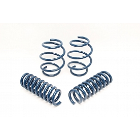 Dinan Performance Lowering Kit D100-0927