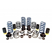 Dinan Performance Lowering Kit D190-1011