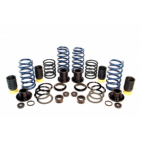 Dinan Performance Lowering Kit D190-1011