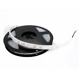 Race Sport Lighting Rope Light - LED MS16FTWSTRIP-RGB