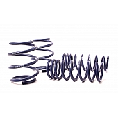 H&R Springs Lowering Kit 29158-1