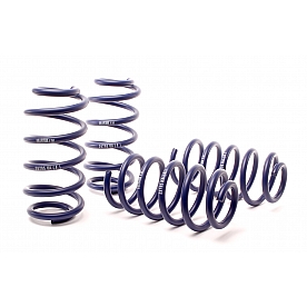 H&R Springs Lowering Kit 29795-1