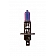 CIPA USA - Xenon Headlight Bulb - Blue - Set Of 2 - 93383