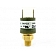 Air Lift Air Compressor Pressure Switch 24575