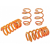 Advanced FLOW Engineering Lowering Kit 410-301002-N