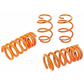 Advanced FLOW Engineering Lowering Kit 410-301002-N