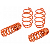 Advanced FLOW Engineering Lowering Kit 410-503006-N