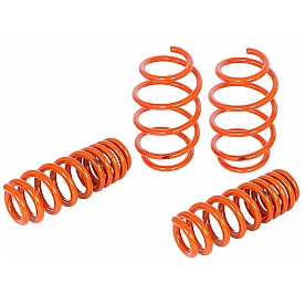 Advanced FLOW Engineering Lowering Kit 410-503006-N