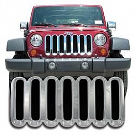 Coast To Coast Grille Insert - Chrome Plated ABS Plastic - IWCGI39