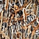 Covercraft Seat Cover Multi-Filament Polyester Camouflage Flooded Timber One Row - SS8429TTFT