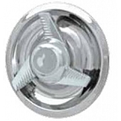 Coast To Coast Wheel Center Cap IWCC2032