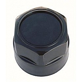 Coast To Coast Wheel Center Cap IWCKT262