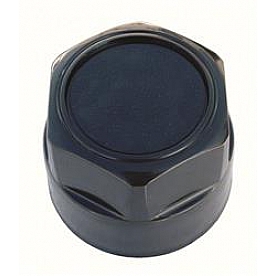 Coast To Coast Wheel Center Cap IWCKT262