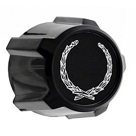 Coast To Coast Wheel Center Cap IWCKT263