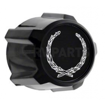Coast To Coast Wheel Center Cap IWCKT263