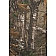Covercraft Seat Cover Polycotton Realtree Brown One Row - SSC3452CAXB