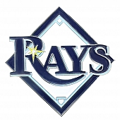 Fan Mat Emblem - MLB Tampa Bay Rays Metal - 26727