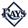 Fan Mat Emblem - MLB Tampa Bay Rays Metal - 26727