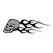 Trimbrite Decal - Skull Set - Black/ Silver - T1952